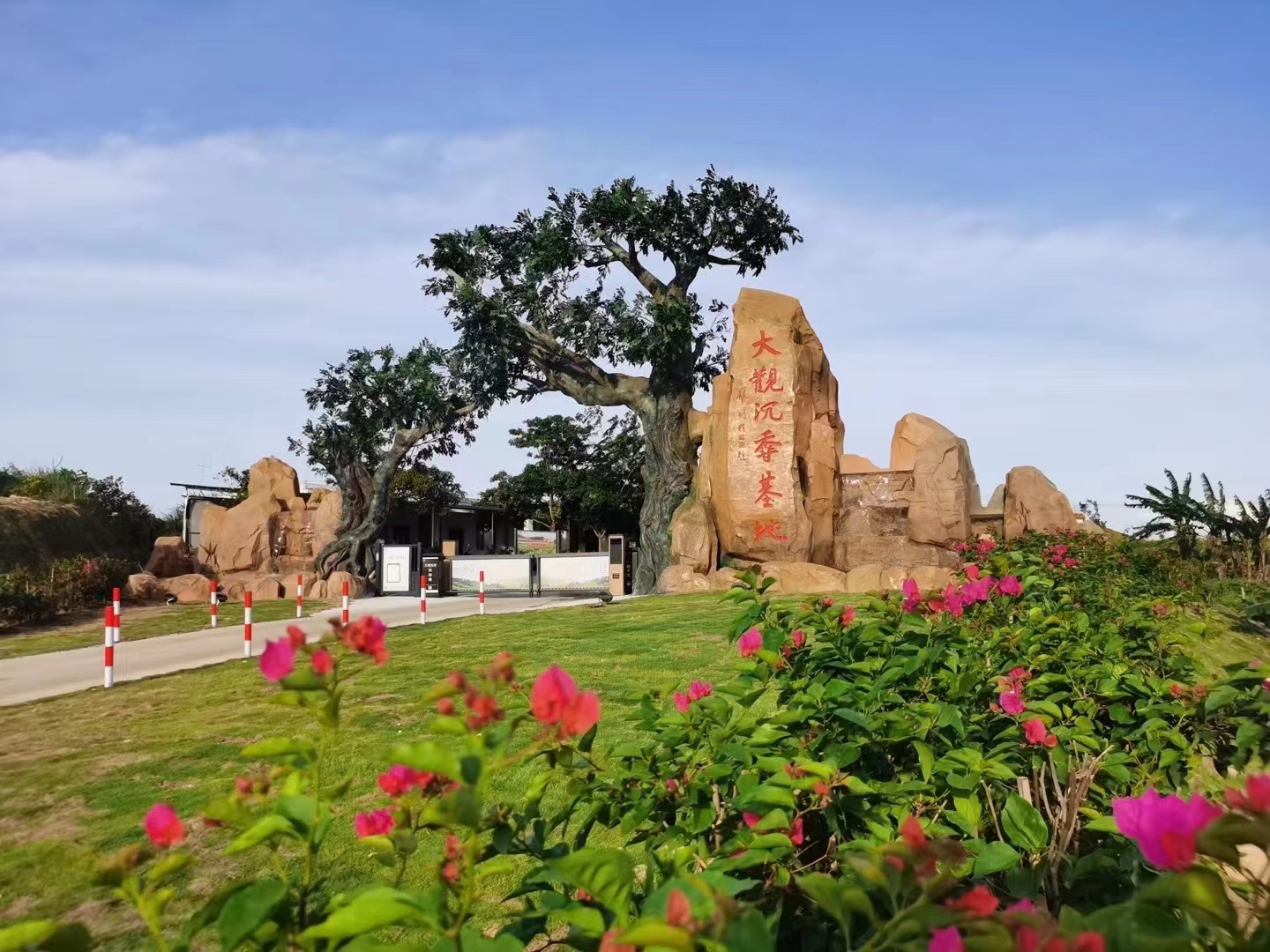 1764939208142496.jpg 1764939208142496.jpg