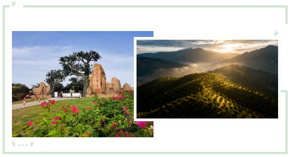 1765272144659830.png 合-2.png